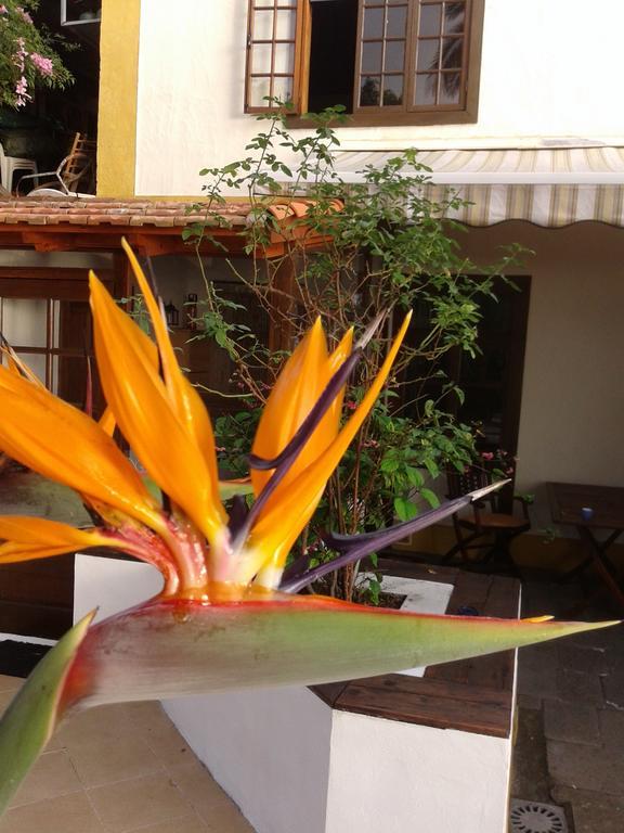 Casa Roberta Βίλα Monte de Brena Εξωτερικό φωτογραφία